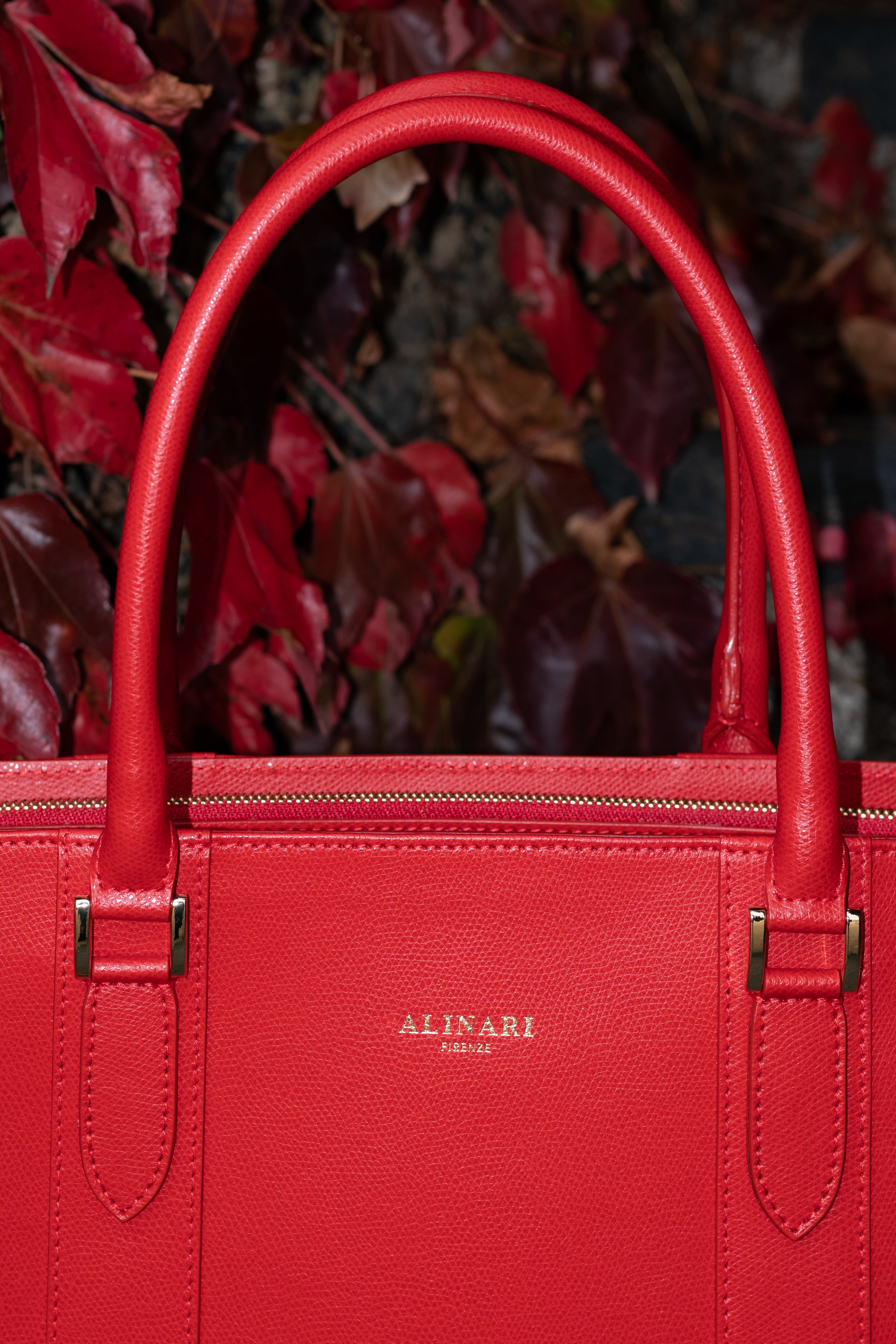 Alinari Tote Bag - Alinari Firenze