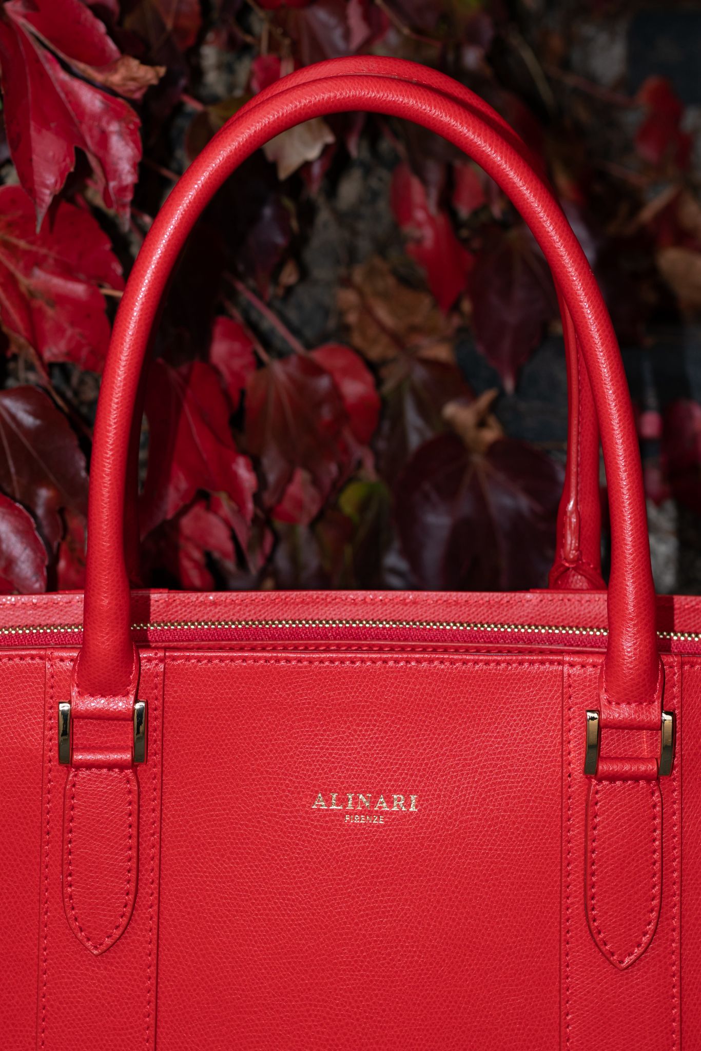 Alinari Tote Bag Red